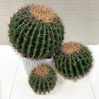 Cactus artificiel hautement réaliste, ensemble de cactus artificiels variés, plantes du désert artificielles en pot pour la décoration intérieure, les fenêtres et les événements