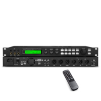 Processeur d'effets de préampli numérique X5 avec anti-larsen et Bluetooth pour home cinéma, scène, karaoké, mixage audio professionnel