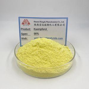 Hongda fonte de fábrica sophora japonica extrato 98% <span class=keywords><strong>kaempferol</strong></span> - Product Image 2