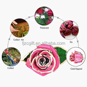 2025 galassia rosa <span class=keywords><strong>24k</strong></span> oro immerso rosa regali di <span class=keywords><strong>Rose</strong></span> per sempre boccioli placcato vera rosa regali di san valentino - Product Image 2