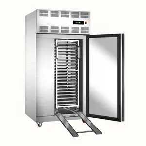 Hot Sale In Philippines Commercial Air Cooling Freezer Refrigerator 700 L Blast Instant Cabinet Freezer For Fish And Lobster