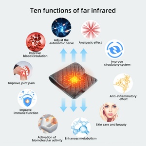 High Quality <b>Usb</b> Pet Heated Mattress Cordless Animals Graphene Infrared <b>Heating</b> Pad Pet Warm Mat for Dog Cat - Product Image 2