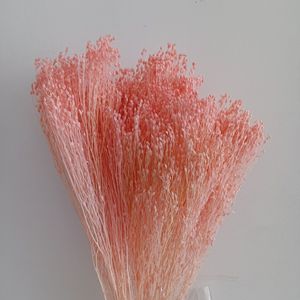 Yunnan fábrica al por mayor 50g ramo de flores secas reales Flor de escoba conservada seca natural para decoración de eventos en casa - Product Image 2