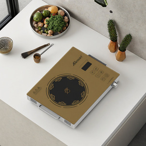 <span class=keywords><strong>2025</strong></span> bán hàng nóng được xây dựng trong đung 1 Burner cảm ứng đung bếp thép không gỉ Lò nướng điện cho hộ gia đình Hà Lan 110V lẩu - Product Image 4