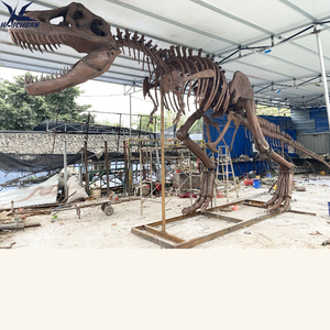 Esqueleto Fósil de Dinosaurio T-Rex Real con Construcción Metálica para Exhibiciones en Museos, Centros Comerciales y Aeropuertos - Product Image 6