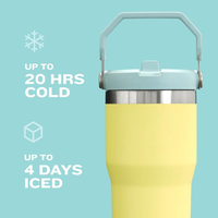Bouteille d'eau en acier inoxydable avec paille rabattable, vert printanier, poignée de transport facile, couvercle à torsion et paille escamotable, anti-fuite