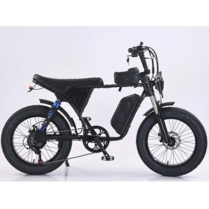 Almacén de EE. UU. 20 pulgadas Fat Tires 48V750W Snow EBike Bicicleta eléctrica de doble suspensión Batería extraíble Motocicleta con bolsa de teléfono - Product Image 1