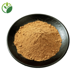 ผงสกัด bacopasides <span class=keywords><strong>Bacopa</strong></span> <span class=keywords><strong>monnieri</strong></span> บริสุทธิ์100% ผงสารสกัดจาก <span class=keywords><strong>Bacopa</strong></span> <span class=keywords><strong>monnieri</strong></span> - Product Image 2