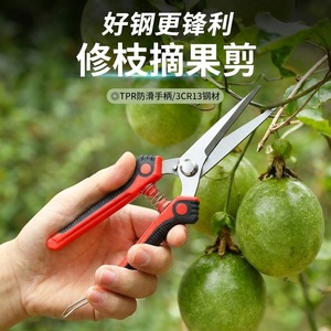 Sécateur de taille Pinheng en acier inoxydable avec poignée rouge, outil de jardinage manuel pour fleurs, arbres fruitiers et horticulture - Product Image 3