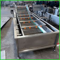 Groothandelsprijs Commerciële Multifunctionele Fruitvlees Wassen Bladgroenten Meloen Proces Bubble Wasmachine