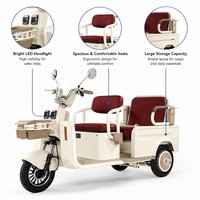 Vélo électrique rétro à design ouvert, sans balais, double siège, panier avant, phare LED, frein à disque hydraulique, batterie au plomb-acide 3 vitesses
