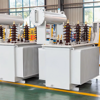 Transformador Trifásico Sumergido en Aceite Yaoyi M-800kVA SH15-Toroidal 10kV/0.4kV 50/60Hz con Núcleo de Aleación Amorfa, Ahorro de Energía, ISO9001
