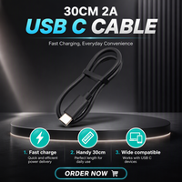 Câble de charge rapide USB Type-C 30 cm 2A avec conducteur en cuivre pur pour téléphone portable, batterie externe et voiture