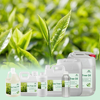 Penjualan Langsung Pabrik MOQ 1kg Minyak Daun Melaleuca Alternifolia 100% Murni Alami Minyak Esensial Tea Tree Organik Grosir