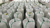 Cordes dédiées aux plateformes suspendues : Sécurité, options de torsion et d'alpinisme / Usine chinoise