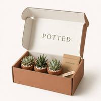 Boîte d'expédition personnalisée en carton ondulé Kraft avec impression de logo, emballage intérieur avec insert pour coffret cadeau de plantes succulentes, vente en gros directe usine