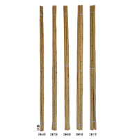Tuteurs de jardin en bambou pour tomates, haricots, fleurs, arbres et plantes grimpantes en pot - Lumineux 180cm