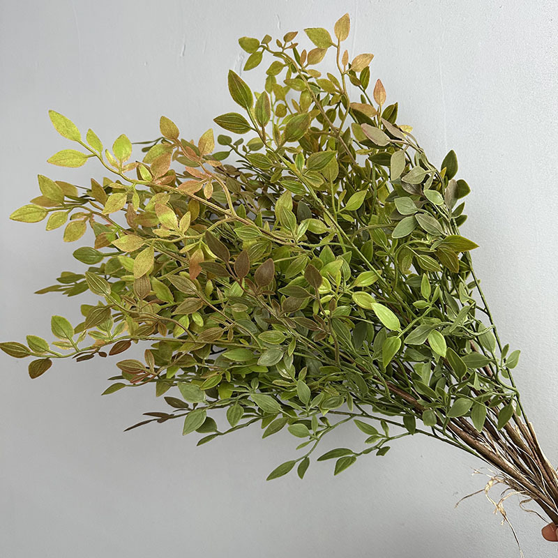 B16 nandina panaché rouge et vert