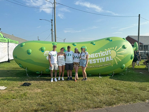 एयरटाइट विशाल pvc हीलियम इंफ्लेटेबल पिकल मॉडल - Product Image 4