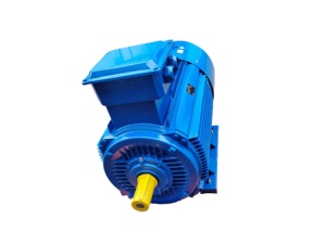 Motor de Accionamiento LSPMSM Magnético Refrigerado por Agua de 22kw 55kw 90kw para Barcos y Embarcaciones Marinas, con Controlador - Product Image 3