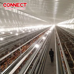 A Type Poultry Chicken Layer Battery Cages System Automatic Egg Laying Feeding Equipment Layer Cage System For Laying Hen Egg