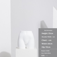 Mannequin de présentation de comptoir pour sous-vêtements, culottes, bikinis et maillots de bain, modèle de torse et de hanches féminin blanc pour usage commercial