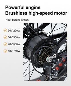 <span class=keywords><strong>Vélo</strong></span> <span class=keywords><strong>cargo</strong></span> <span class=keywords><strong>électrique</strong></span> rétro pour familles, vente directe d'usine, tricycle <span class=keywords><strong>électrique</strong></span> pour 1 personne, 500w 750w, vélos <span class=keywords><strong>cargo</strong></span> <span class=keywords><strong>électrique</strong></span>s - Product Image 2