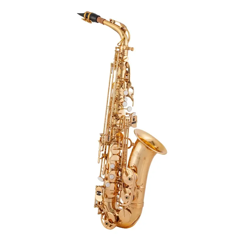 Brass E Flat Alto Saxophone set Suitable for beginners/professional playing alto saxophone