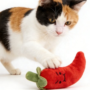 Giocattoli per Gatti Ecologici dal Design Carino e Originale, Giocattolo Interattivo in Peluche con Polvere di Menta per Gatti - Product Image 4