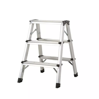 Échelle télescopique double face en aluminium portable, élévateur d'escalier pour la maison et le jardin EN131