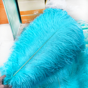 Aqua Color <span class=keywords><strong>Nando</strong></span> pluma púrpura avestruz plumas turquesa cóctel pluma Gallo cola ajuste para carnaval ala Decoración - Product Image 5