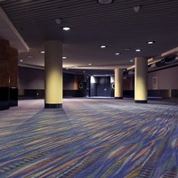 Tapis personnalisé pour hôtel 5 étoiles Hôtel de luxe Axminster Nylon pour salle de banquet Couloir en laine Tapis d'accueil