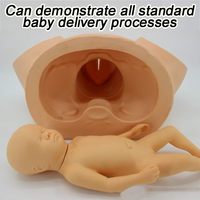 Modelo avanzado de demostración y entrenamiento de distocia Modelo de enseñanza de partería y parto de distocia para obstetricia y ginecología