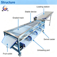 Jiayang Blueberry Sorteermachine, Grader voor Fruit, Cherry Tomaten Sorteermachine, Appel, Citrus, Ui Selectiemachine voor Elliptische Vormen