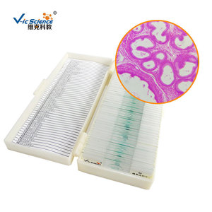 Factory direct supply of <b>microscope</b> slides, animal tissues, epididymal sections, and biology teaching equipment. - Product Image 3