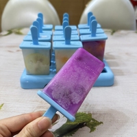 Plateau à glaçons en silicone à 12 cavités Moules à sucettes glacées en plastique Outils de fabrication de crème glacée pour le stockage de la baignoire