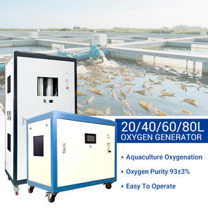 Nieuwe Industriële Zuurstofgenerator 40l Hooggelegen Metalen Behuizing Zuurstofconcentrator Op Wielen 220V - Product Image 6
