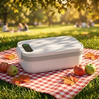 Direkter Fabrikpreis 1000ml Isolierte Multifunktionale/Einstellbare Temperatur Kabellose Elektrische Lunchbox Wiederaufladbar Tragbar