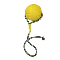 LY Factory Wholesale Eco-Friendly Fashion Classic Cute Training Dog Chew Toy Interactive EVA Floating Foam Ball Bite Pull Ring