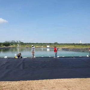 Géomembrane en HDPE arc-en-ciel, feuille de revêtement pour crevettes, 0,20 mm-2,0 mm, pour l'élevage de poissons et le revêtement de bassin, KSD-029 - Product Image 2