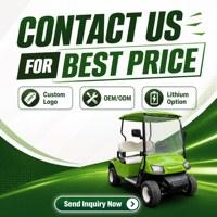Carrito de Golf Eléctrico de Dos Plazas, Motor de CA de 3kW, Capacidad de Subida del 25%, Sistema Patentado Anti-Retroceso, Freno Hidráulico Doble, OEM ODM
