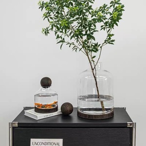 Grand <span class=keywords><strong>bocal</strong></span> rond en verre pour <span class=keywords><strong>terrarium</strong></span> avec couvercle en forme de boule en bois et base en bois pour plantes, écosystème, décoration d'intérieur, jardin, bricolage, artisanat - Product Image 2