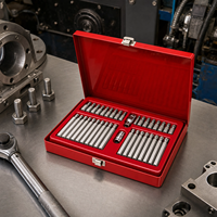 Juego de 40 Puntas Torx y Spline en Estuche Metálico Rojo, Doble Longitud (30/75mm), para Uso Profesional en Automoción y Taller