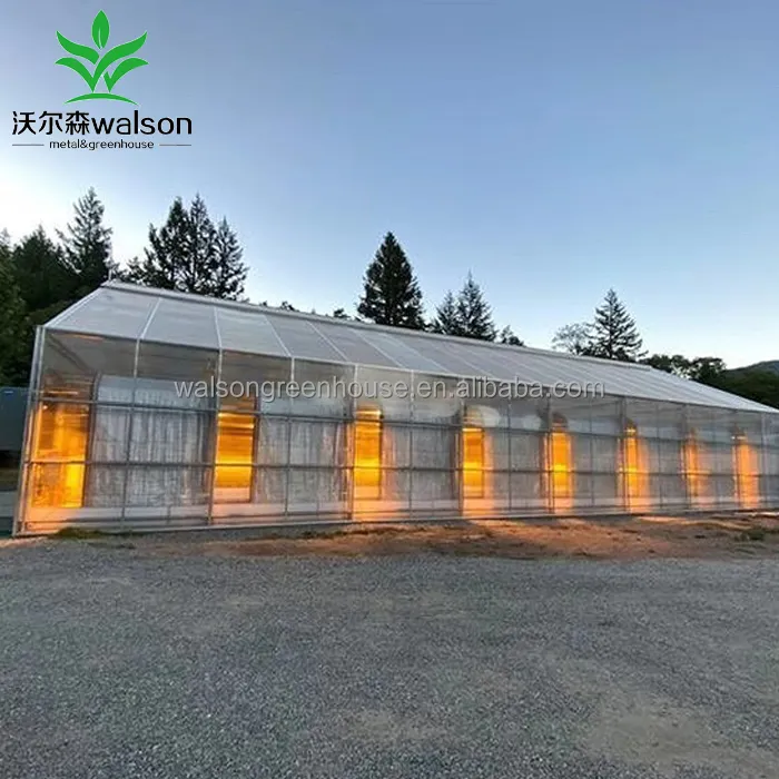 Invernadero agrícola Walson equipo de metal de aluminio invernaderos de túnel vegetal