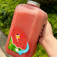 Botella de Plástico PET Desechable Personalizada de Gran Capacidad para Bebidas Frías con Asa