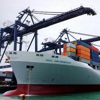 Service de transitaire maritime porte-à-porte DDP, agent d'expédition DHL de Chine vers la Pologne et la Russie, logistique LCL + Express