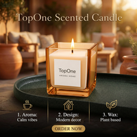 Bougie parfumée en cire de soja Premium TopOne, pot en verre carré, bougie parfumée pour la Saint-Valentin, la fête des mères, les cadeaux de Noël