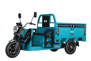 Tricycles électriques modernes d'affichage de tricycle électrique classique populaire 1000W 48V - Product Image 5