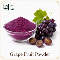 Poudre de raisin de haute qualité Lvlai Bio Manufacturer, vente en gros, poudre de jus de raisin pour boissons
