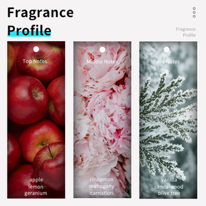 Vilily <span class=keywords><strong>Perfume</strong></span> EDP para <span class=keywords><strong>Hombre</strong></span>, 38 ml, Tamaño Regular, con Fragancia Natural, Sostenible y Moderna <span class=keywords><strong>de</strong></span> Madera, Canela y Geranio, <span class=keywords><strong>de</strong></span> Larga Duración - Product Image 3